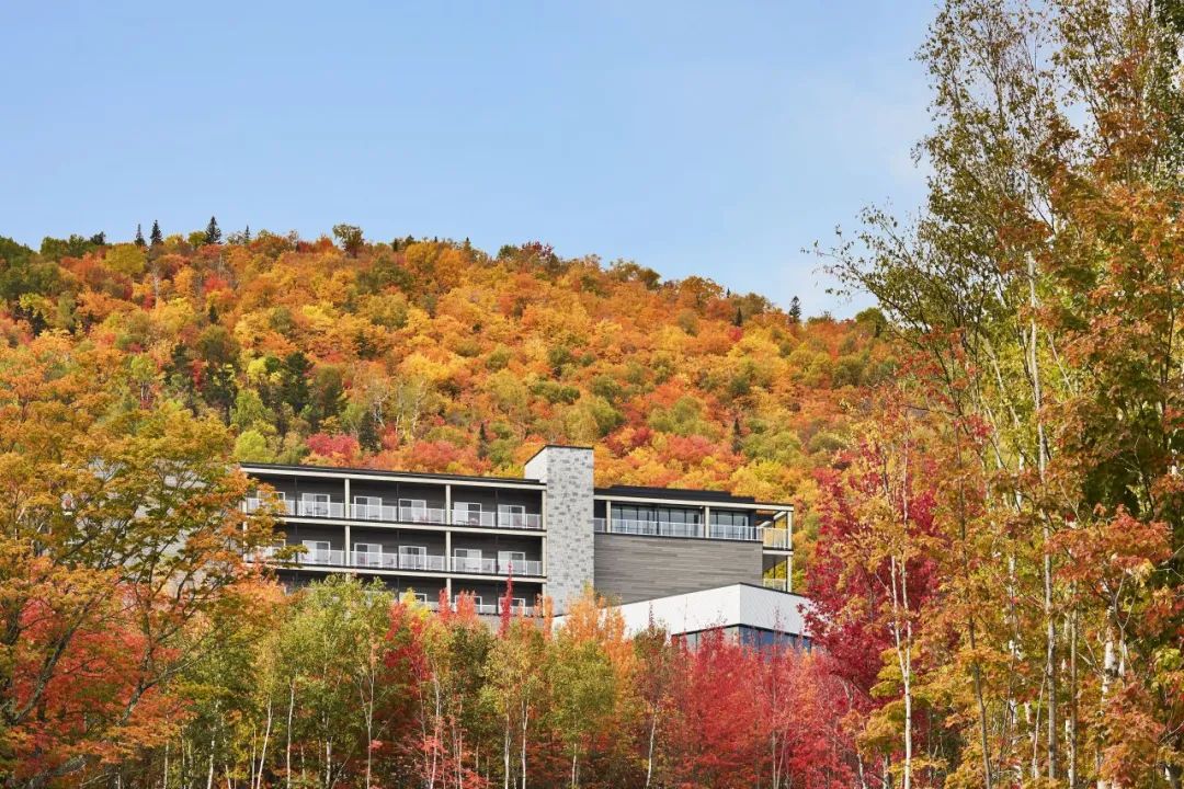 20240416110738_6883