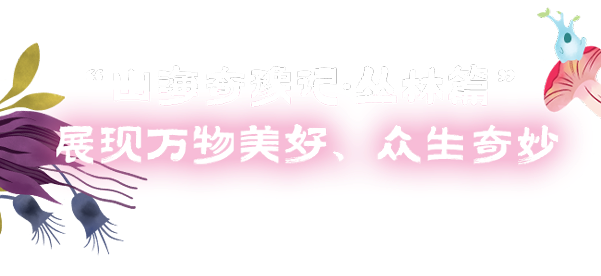 20241218133418_2254
