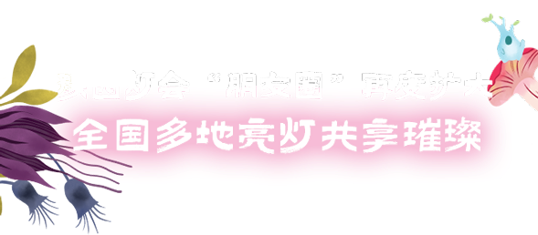 20241218133418_7916