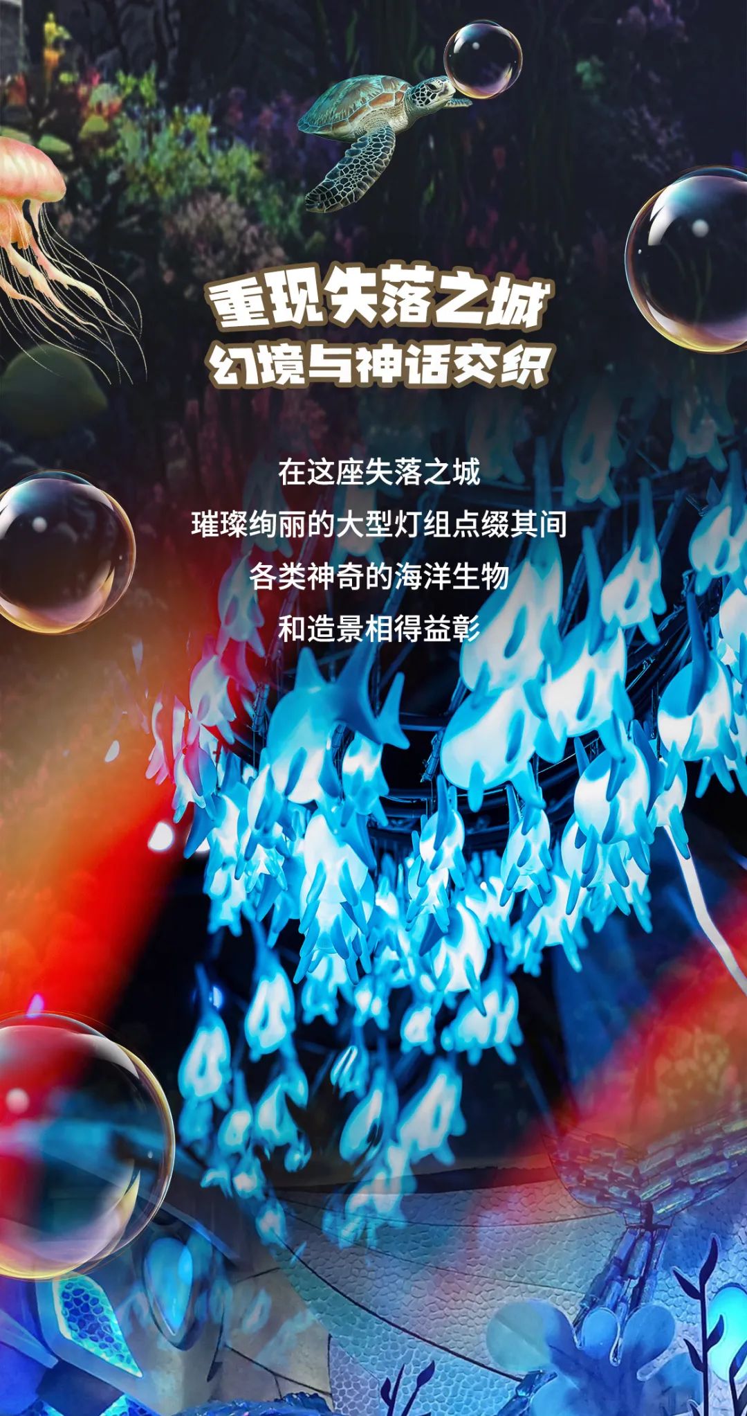 20241224104630_2865