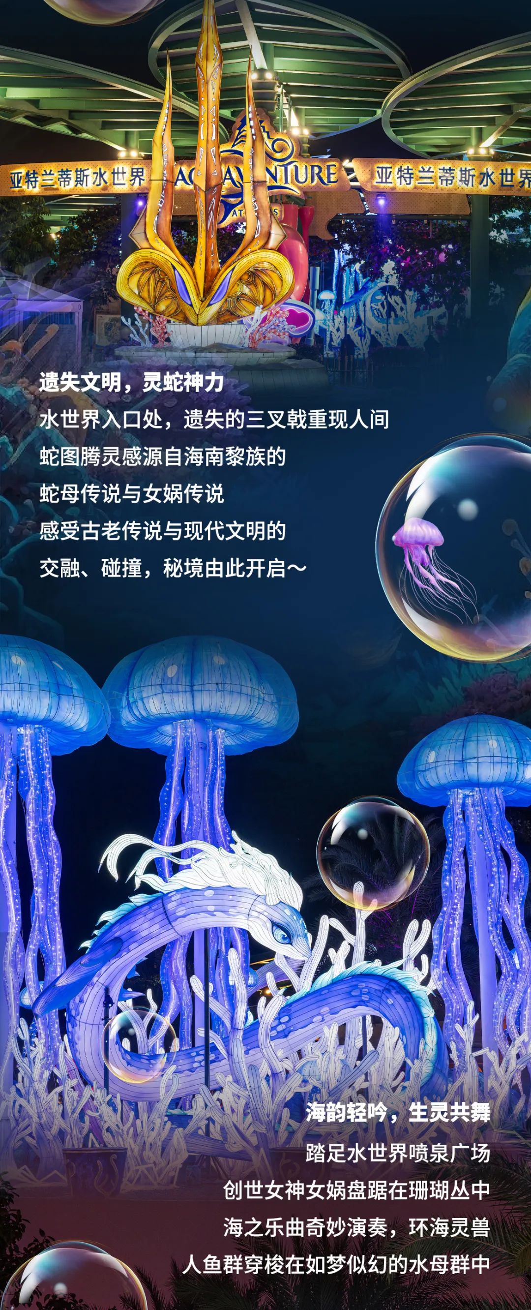 20241224104630_5852