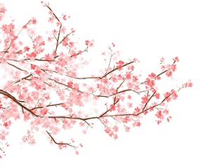 20250126085525_4601