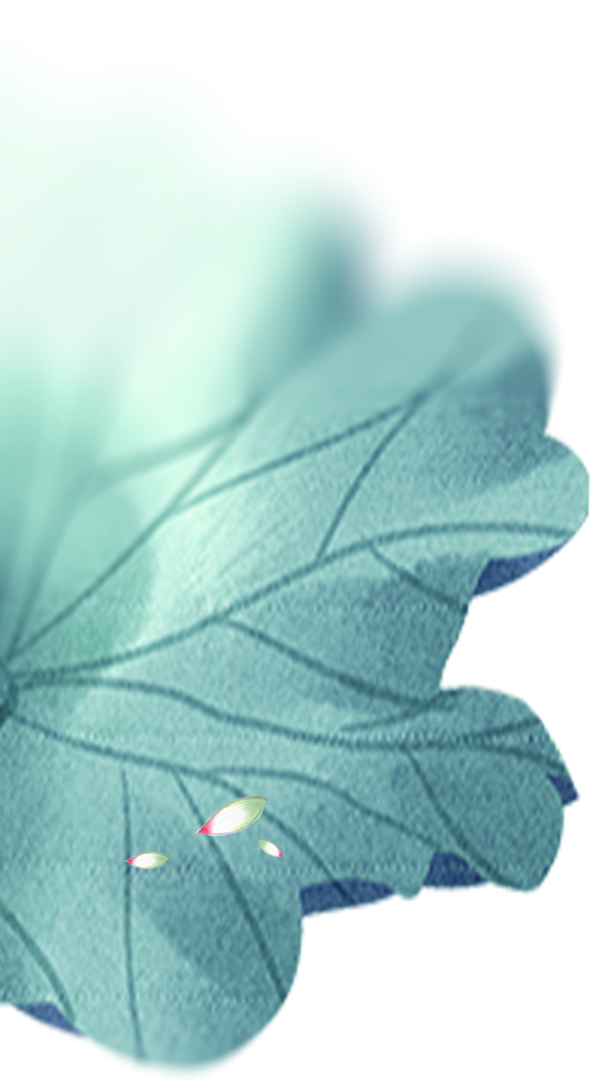 20250126085526_2951